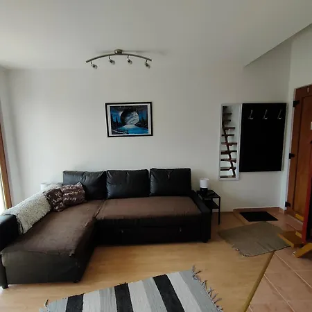 Renica Wellness Apartment